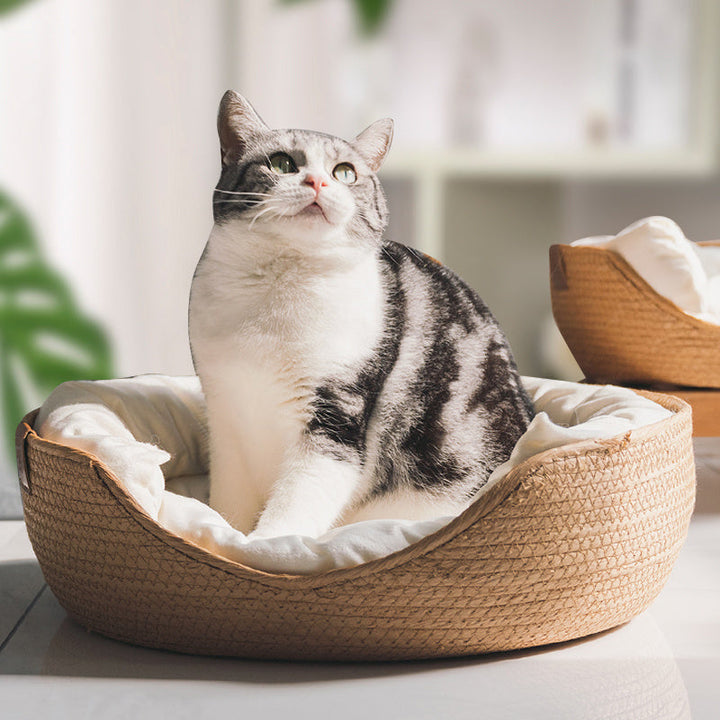 Håndlaget Komfortabel Katt Seng - LuxeSnooze Norvo