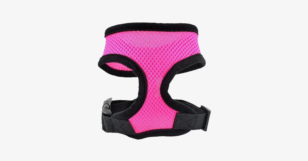 Norvo | Comfort Control Hundesele