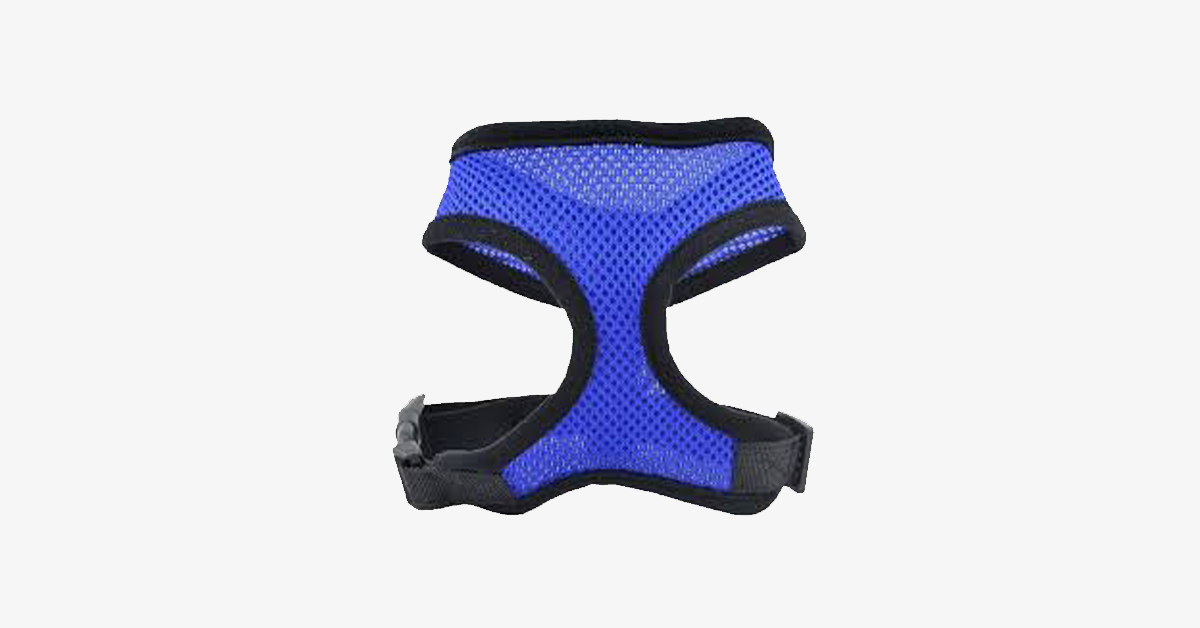 Norvo | Comfort Control Hundesele