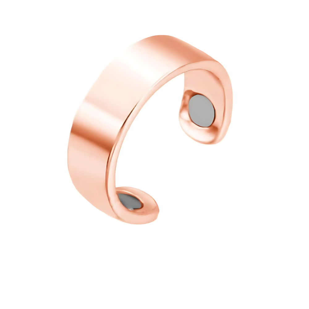 Norvo | Magnetisk Terapi Rustfritt Stål Helbredende Ring