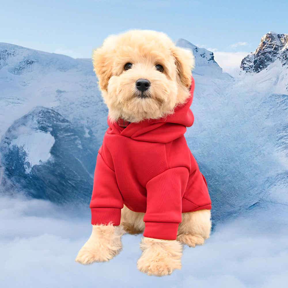 Norvo | Hund Halloween Kostyme Fleece Dinosaur Hoodie | Kjæledyrantrekk Varm