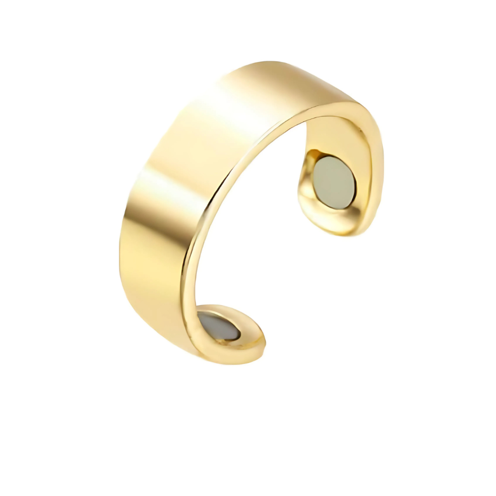 Norvo | Magnetisk Terapi Rustfritt Stål Helbredende Ring