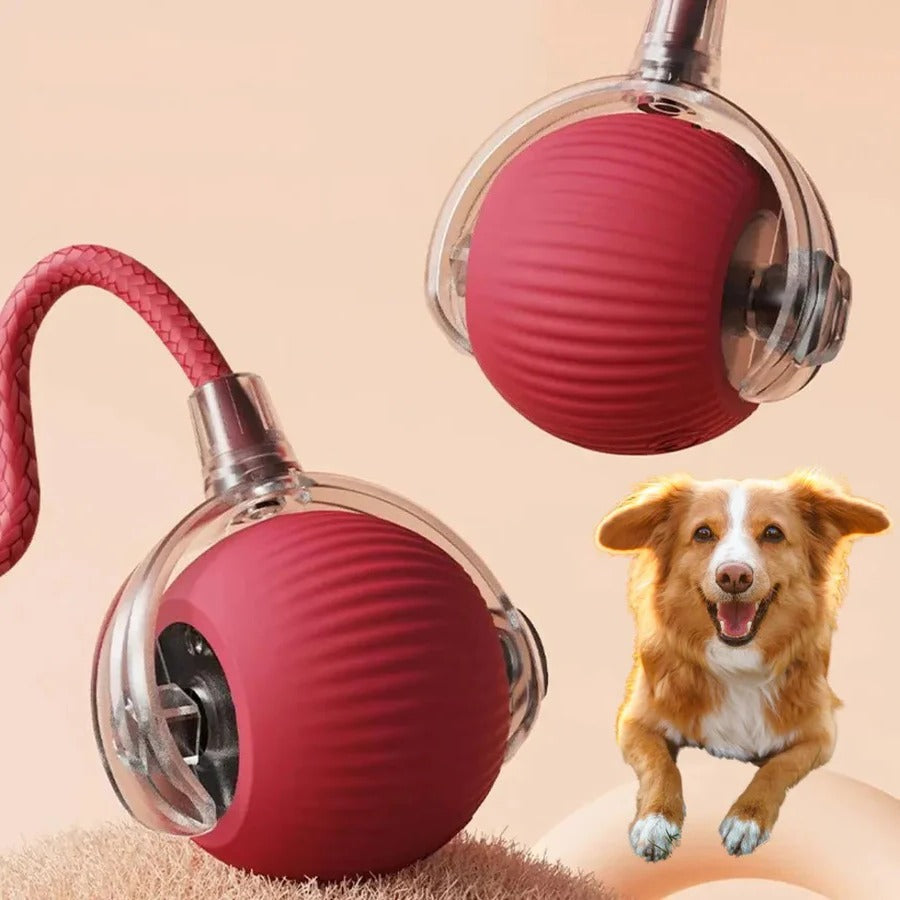 Norvo | Aktiv Rullende Ball med Hale for Hunder