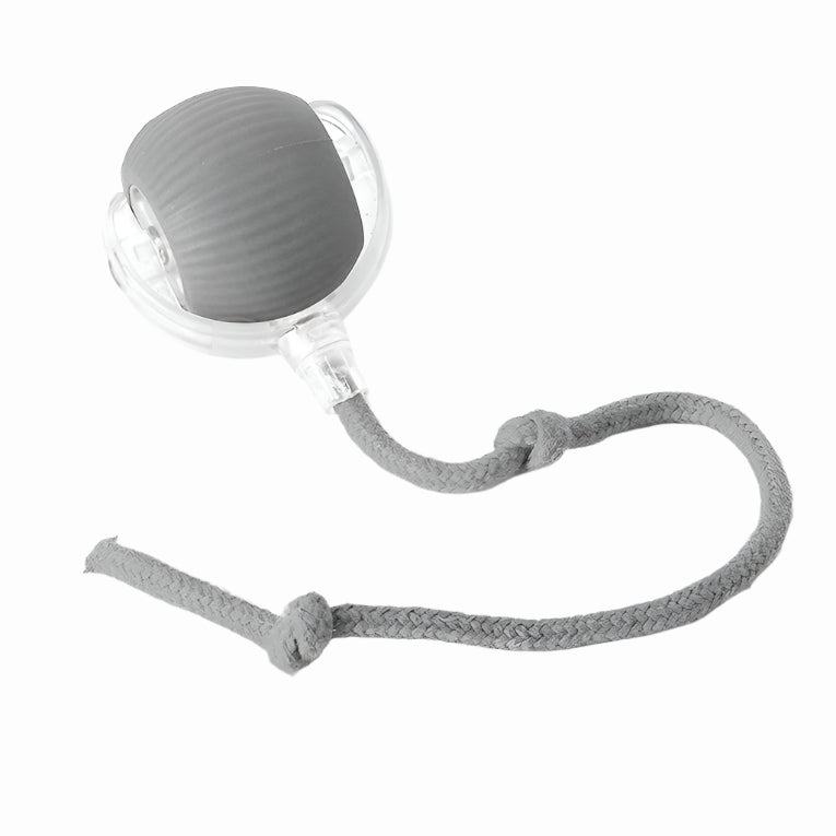 Norvo | Aktiv Rullende Ball med Hale for Hunder