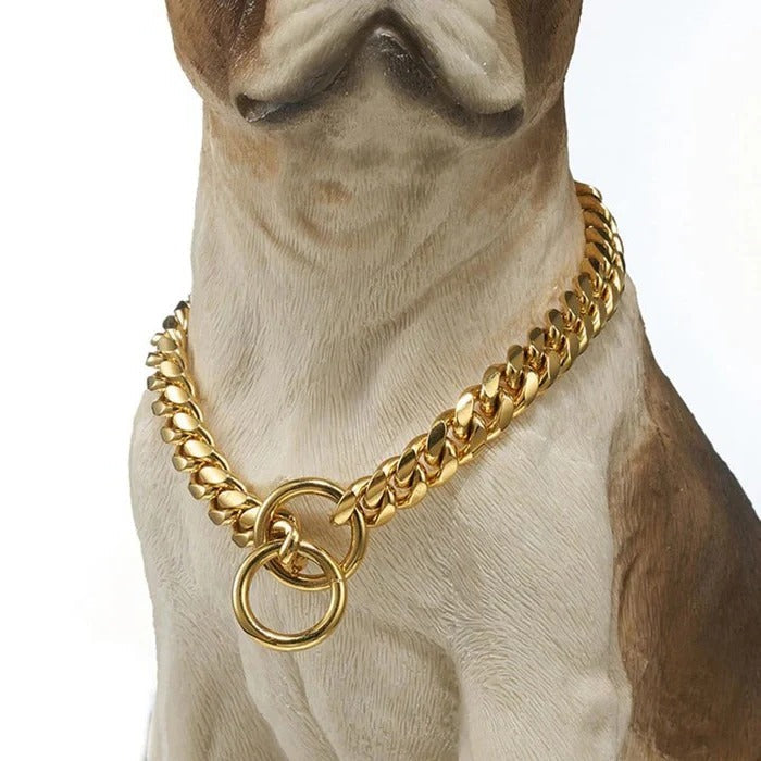 Norvo | Heavy Duty Hundehalsbånd