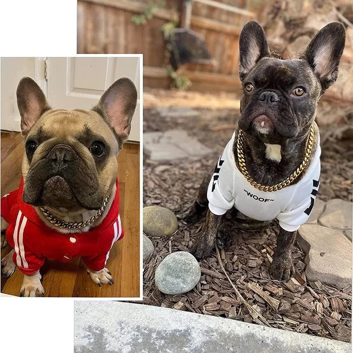 Norvo | Heavy Duty Hundehalsbånd