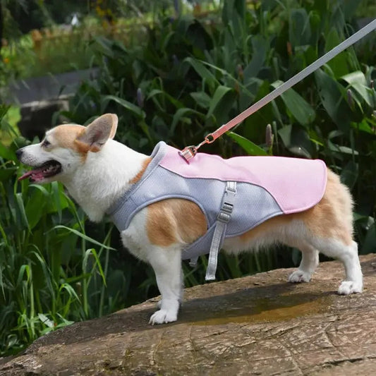 Norvo | Dog Cooling Vest for Outdoor Activities