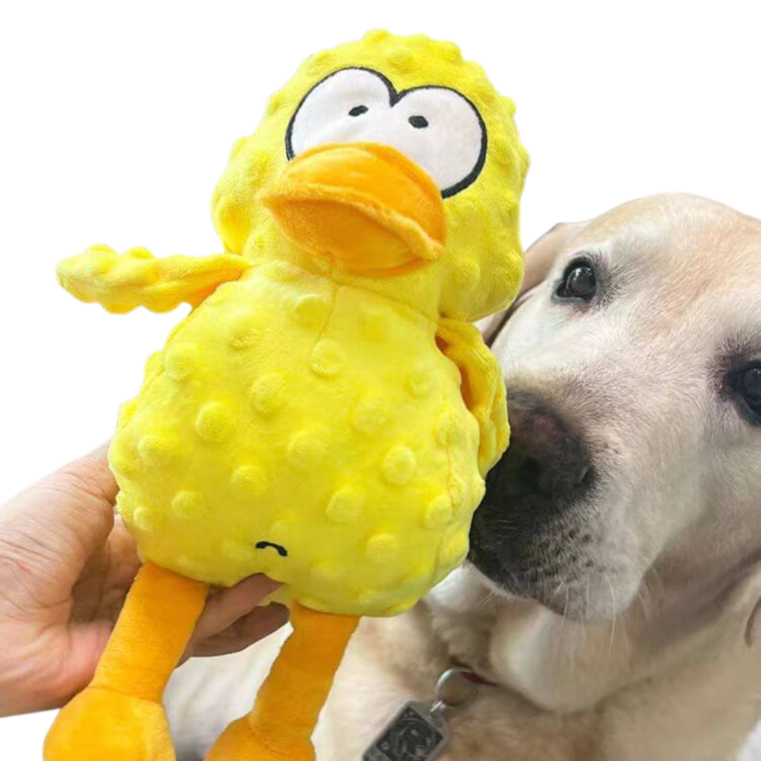 Norvo | Hund Plush Koseleketøy Tough Squeaky