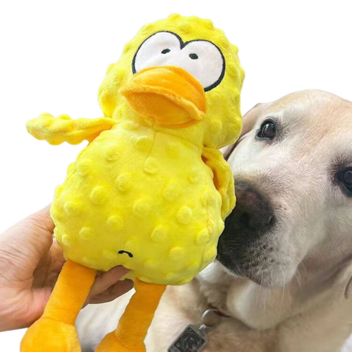 Norvo | Hund Plush Koseleketøy Tough Squeaky