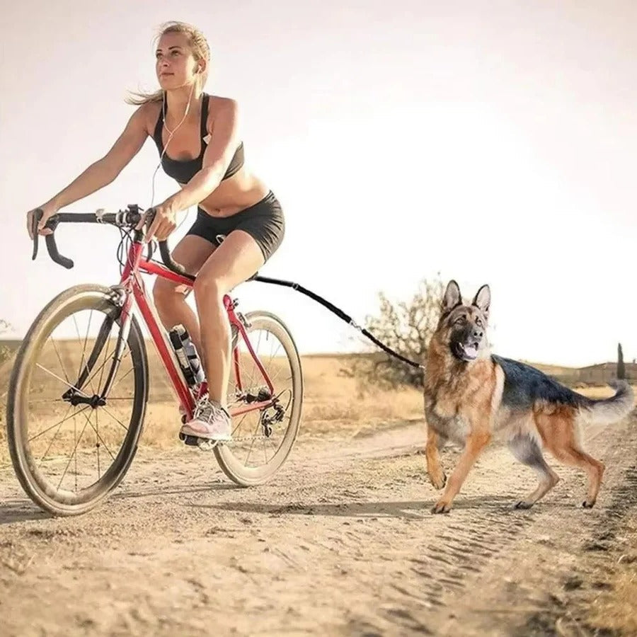 Norvo | Bike Dog Tow Leash