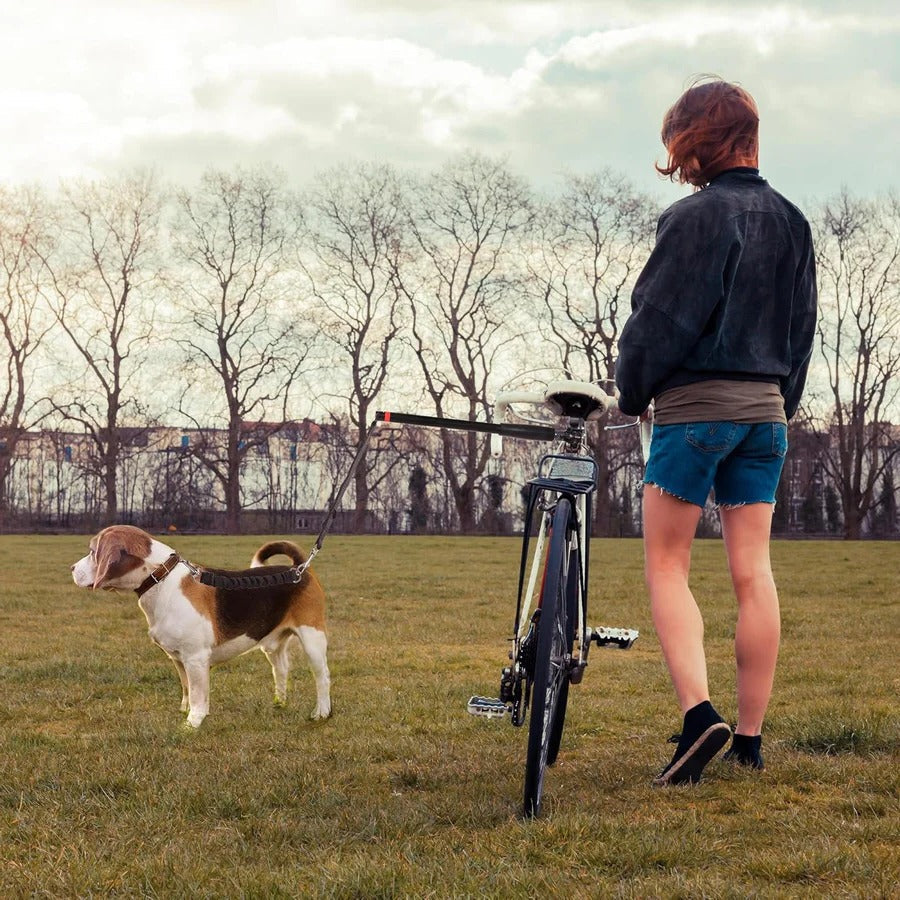 Norvo | Bike Dog Tow Leash