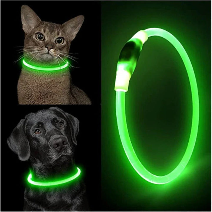 Norvo | Lyse opp hundehalsbånd, USB-oppladbart LED-glødende halsbånd