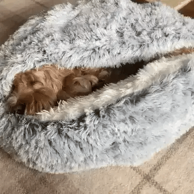 Norvo | Cozy Cave Pet Bed | Beroligende og Komfortabel Hundeseng for Dyp Avslapning