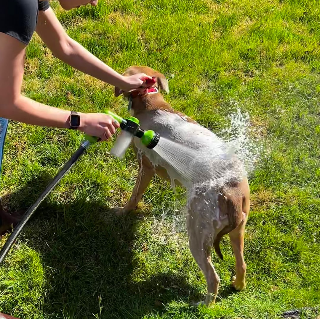 Norvo | Hundefor dusj sprayer - WashBuddy