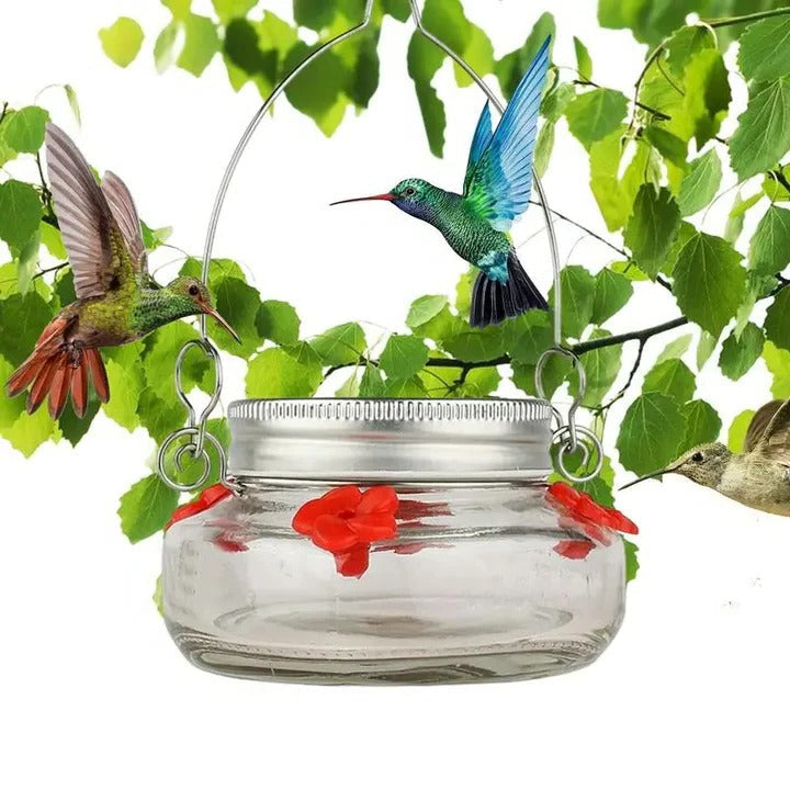 Norvo | Clear Flower Port Kolibri Fugl Maters