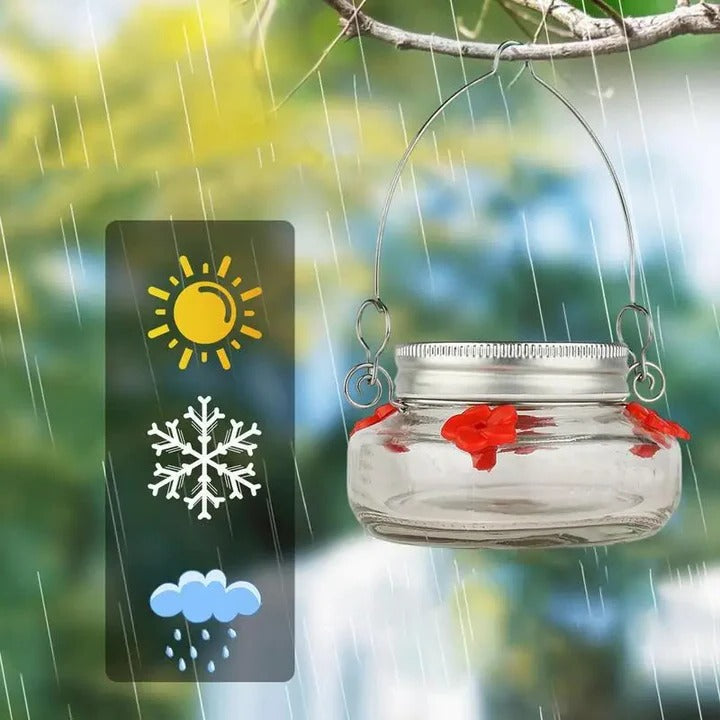 Norvo | Clear Flower Port Kolibri Fugl Maters