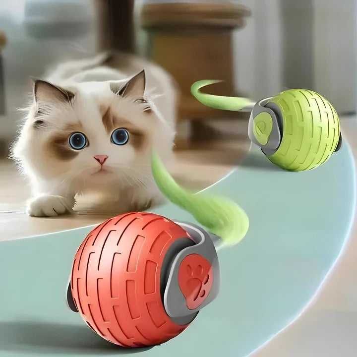 Norvo | Bevegelig katt leke