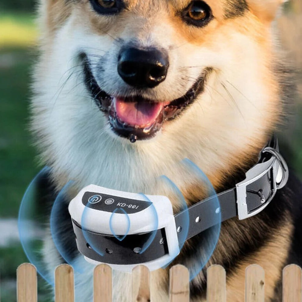 Norvo | Trådløs Usynlig Underjordisk Elektrisk Hundetraining Trådgjerde Sett