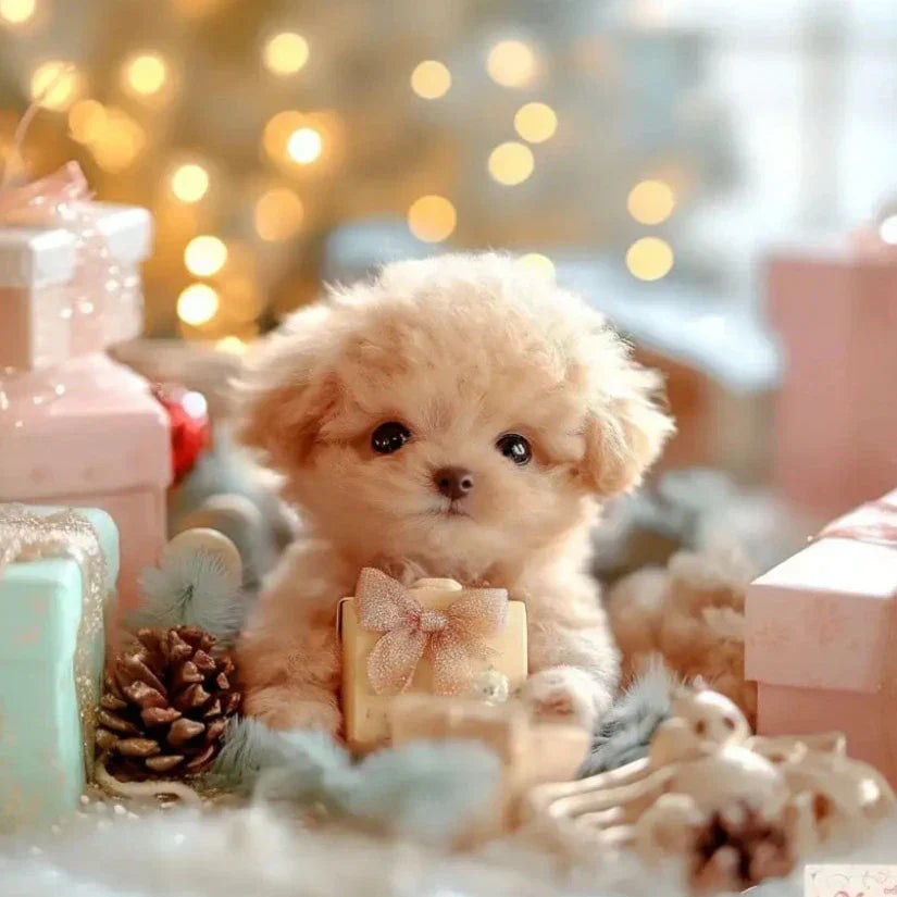 Norvo | PuppyJoy Interaktiv Robotleketøy | Livlig og pedagogisk leketøy for valpen din