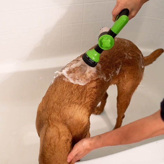 Norvo | Hundefor dusj sprayer - WashBuddy