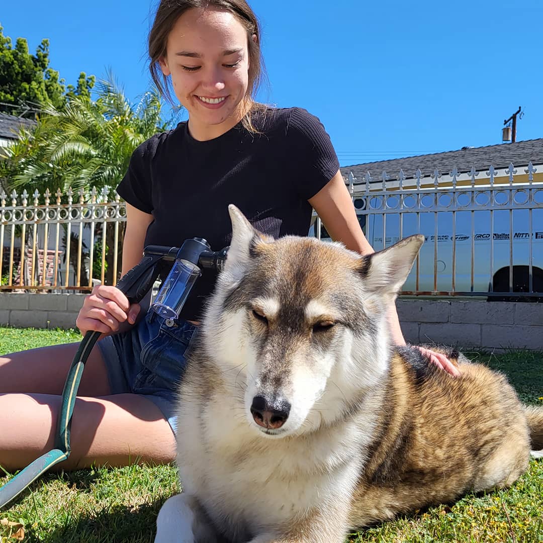 Norvo | Hundefor dusj sprayer - WashBuddy