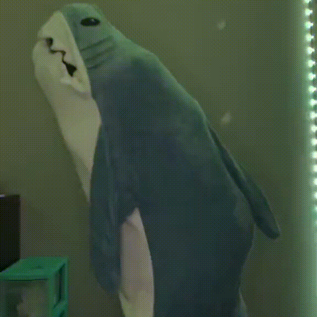 Norvo | Hai Teppe | Koselig - Bærbart Hai Teppe for Alle