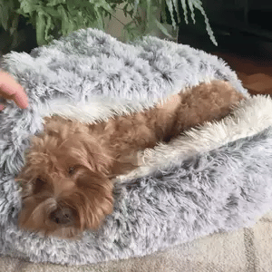 Norvo | Cozy Cave Pet Bed | Beroligende og Komfortabel Hundeseng for Dyp Avslapning