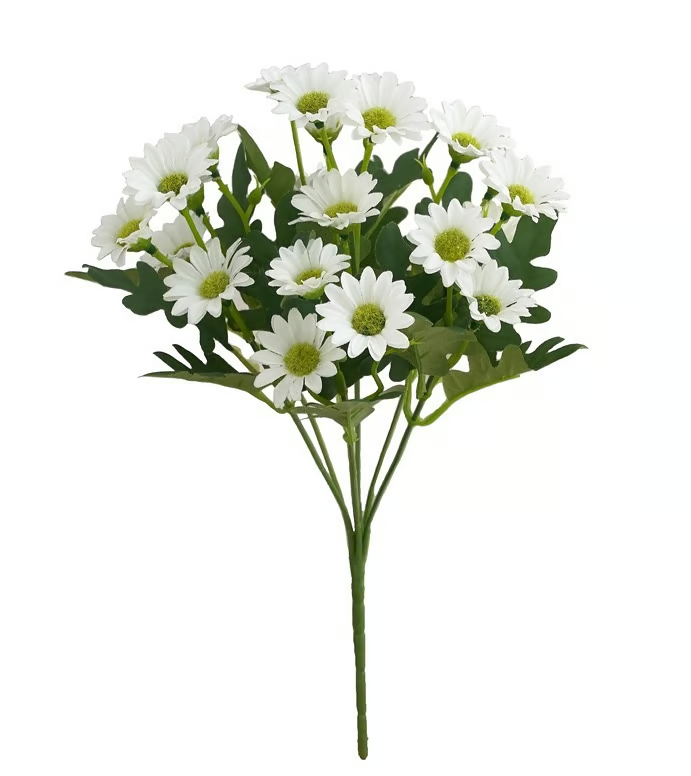 Norvo | AutumnBlaze — Din bekymringsfrie hagehit med farger som fortryller hver høst!