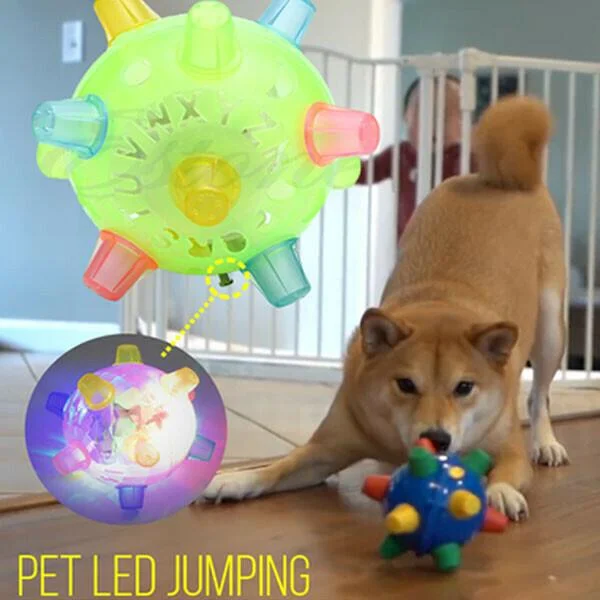 Norvo | Hundelek LED Studsende Interaktiv Ball Gummi