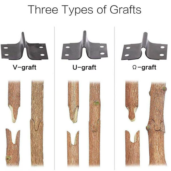 Norvo | Profesjonelt Verktøy for Grafte og Beskjæring