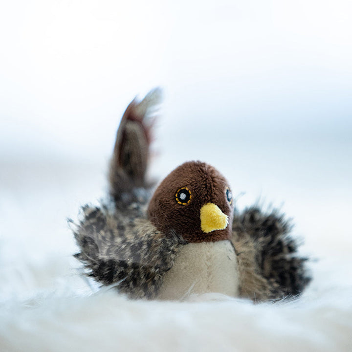 Interaktiv kattleketøy - ChirpBird Norvo