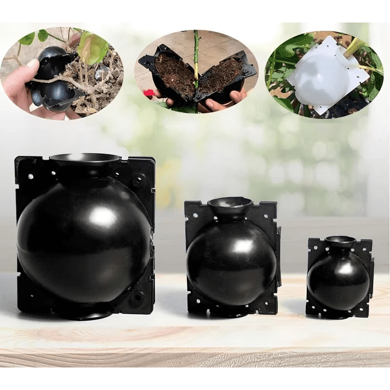 Norvo | RootGrow Pods | Enklere formering kloning kuler for planter