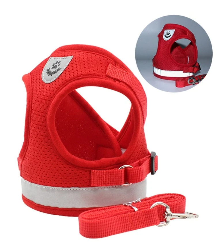 AdventureKit - Sikker sele for eventyrlystne katter Norvo