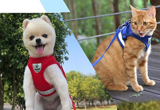 AdventureKit - Sikker sele for eventyrlystne katter Norvo