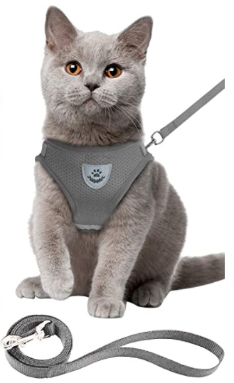 AdventureKit - Sikker sele for eventyrlystne katter Norvo