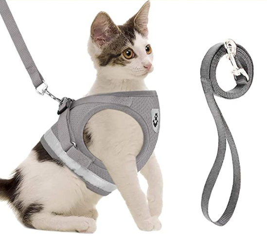 AdventureKit - Sikker sele for eventyrlystne katter Norvo