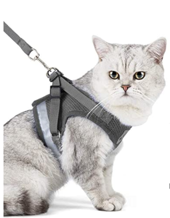 AdventureKit - Sikker sele for eventyrlystne katter Norvo