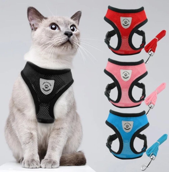 AdventureKit - Sikker sele for eventyrlystne katter Norvo