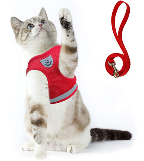 Norvo | Eventyrsett - Sikker sele for eventyrlystne katter
