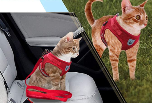 AdventureKit - Sikker sele for eventyrlystne katter Norvo