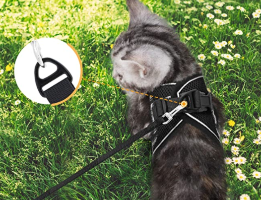Norvo | Eventyrsett - Sikker sele for eventyrlystne katter