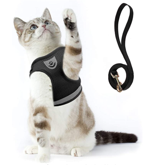 AdventureKit - Sikker sele for eventyrlystne katter Norvo