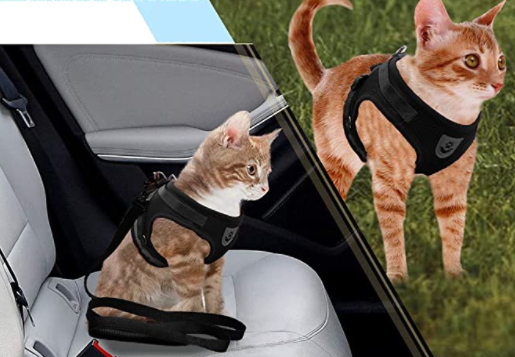 AdventureKit - Sikker sele for eventyrlystne katter Norvo