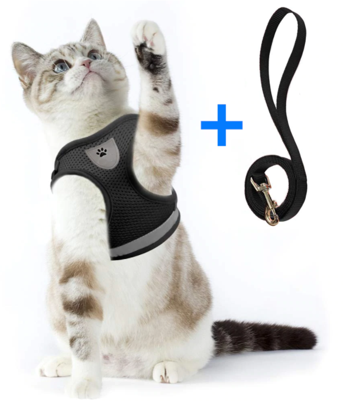 AdventureKit - Sikker sele for eventyrlystne katter Norvo