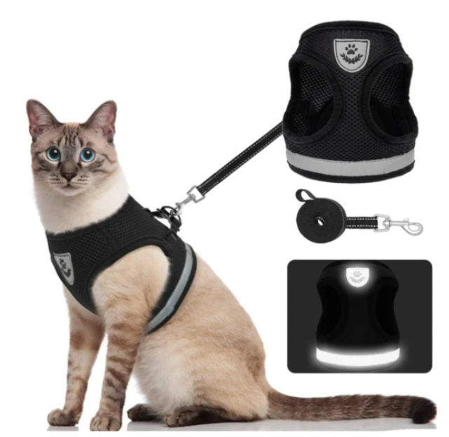 AdventureKit - Sikker sele for eventyrlystne katter Norvo