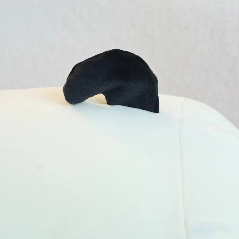 Norvo | Glad Hvit Brun Hund Kosedyr