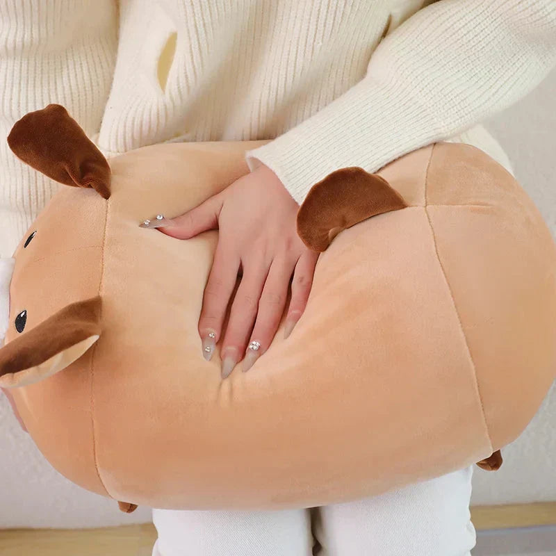 Norvo | Glad Hvit Brun Hund Kosedyr