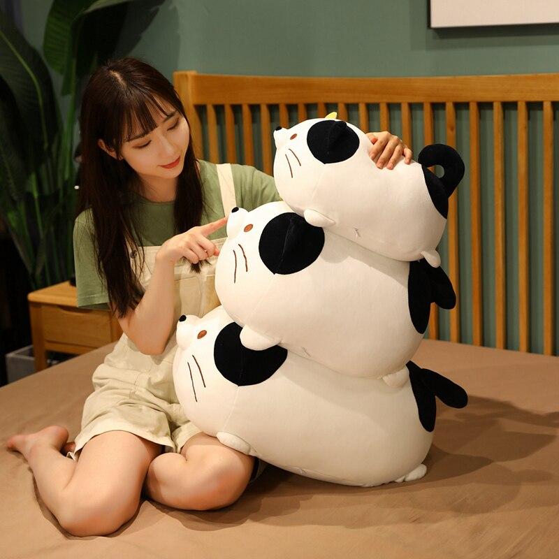 Norvo | Chubby Cat Squad