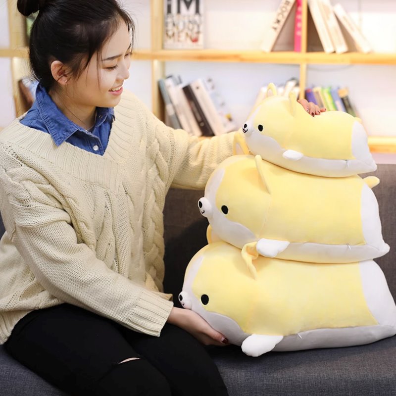 Norvo | Corgi Kosevenner