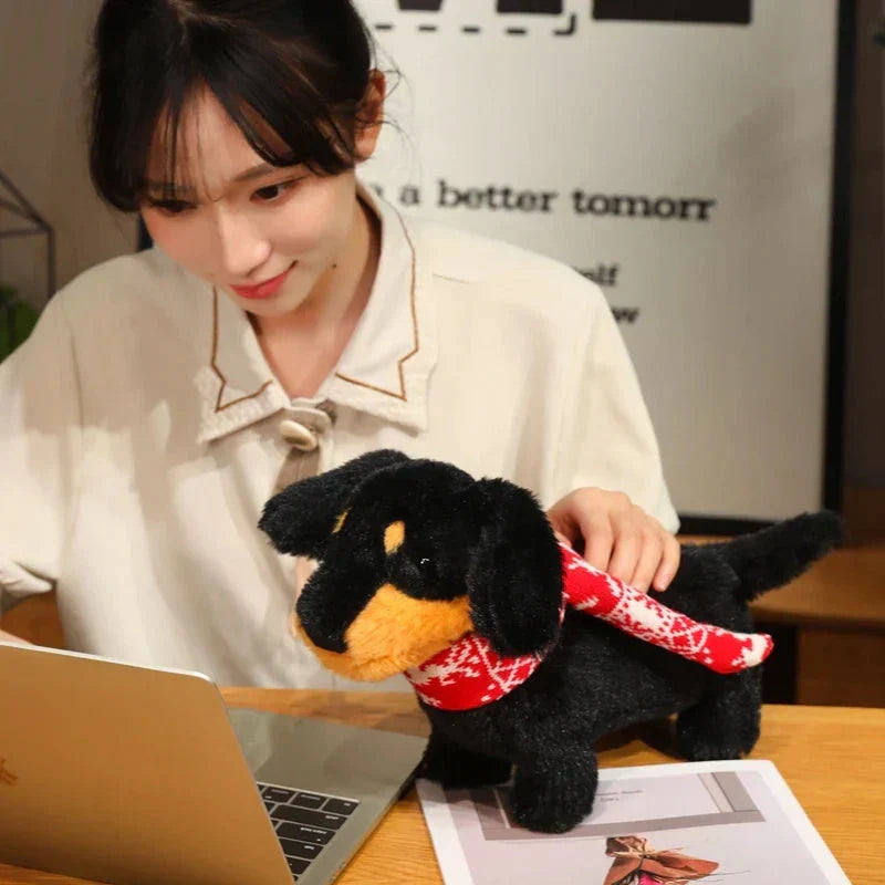 Norvo | Dachsund Pølsehund Plussjegg